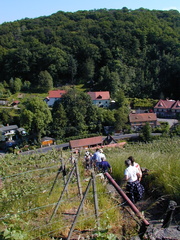 P5281262
