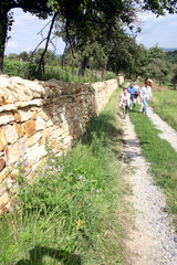 IMG 8658