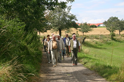 IMG 8661