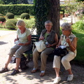 IMG 4047