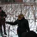 IMG 4137