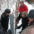 IMG 4147