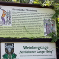 IMG 3683 2