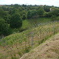 DSC00934