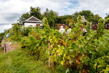 20170819 130402-IMG 3564