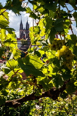 20170819 153937-IMG 3581