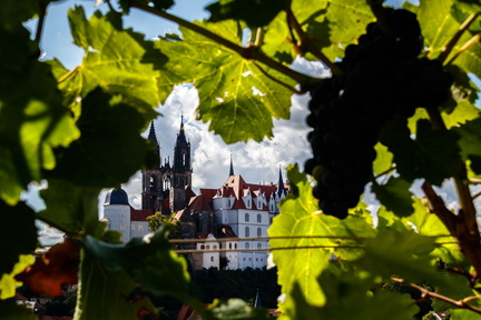 20170819 154008-IMG 3582