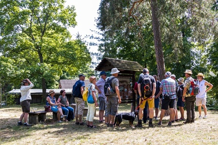 20220618 152029-IMG 8957